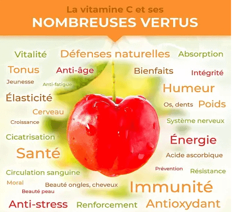 vitamine c bienfaits maroc